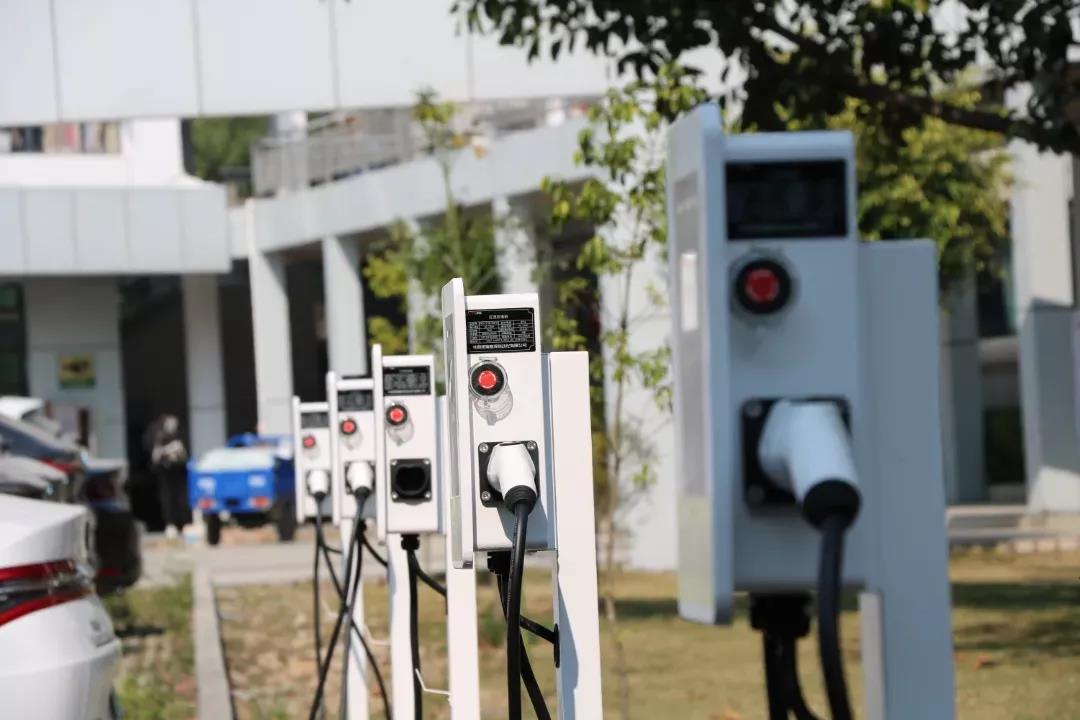 金沙(797966·Sands认证)娱场城-Best Platform